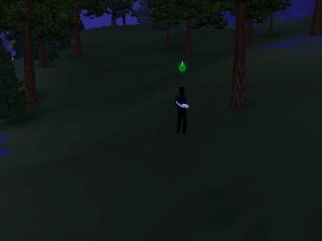 He walks out and heads to the forest, where he and Rae are wrapped in total darkness.